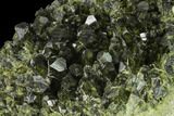 Epidote Crystal Cluster - Peru #141852-2